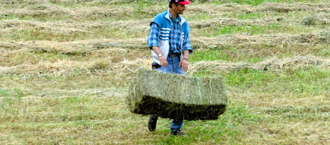 Nέο πρόγραμμα αγροτών: Πώς θα εισπράξουν οι ωφελούμενοι την ενίσχυση - Άνοιξε η πλατφόρμα